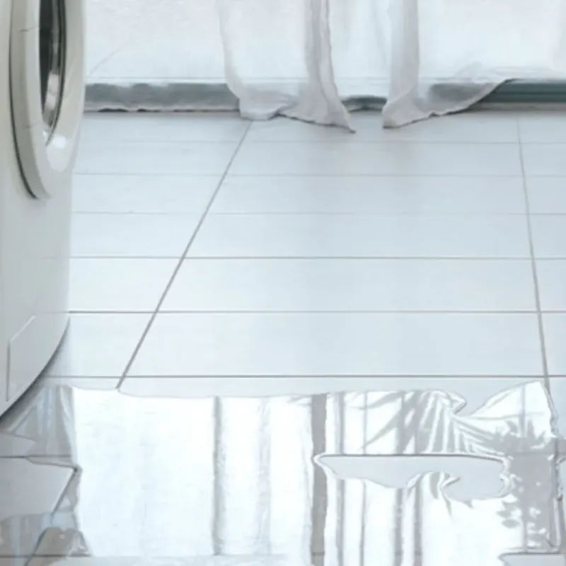 Appliance Leak Cleanup in Jefferson, VA