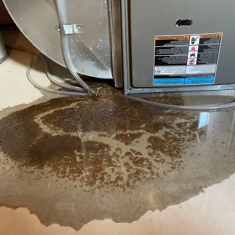 Pipe Burst and Leak Restoration in Jefferson, VA