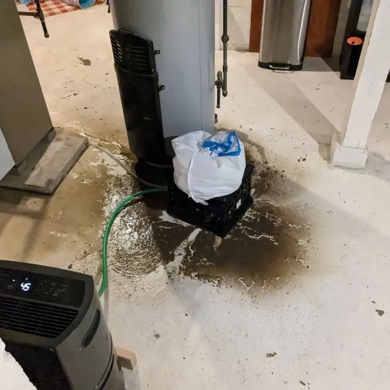 Sewage Backup Cleanup Service in Jefferson, VA